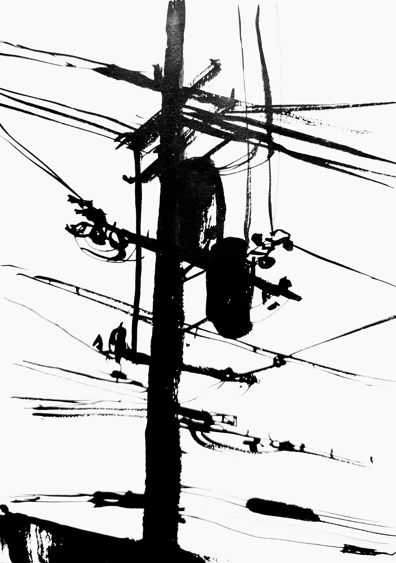 power_lines_01.jpg